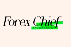 شركة فوركس شيف Forex Chief